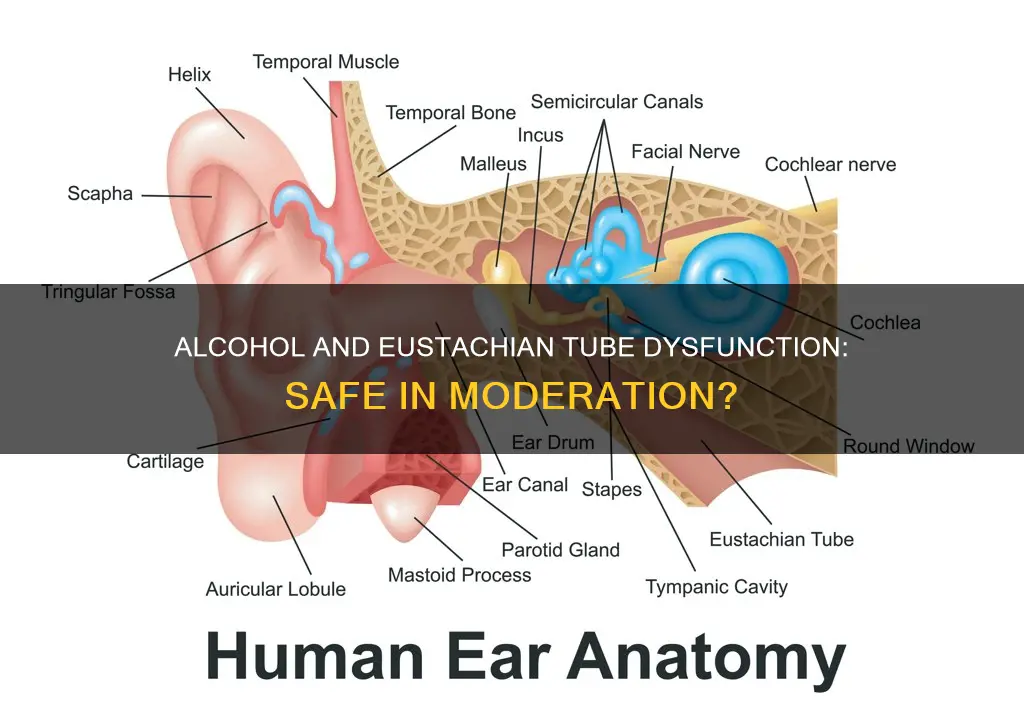is alcohol ok in moderation with eustachian tube dysfunction