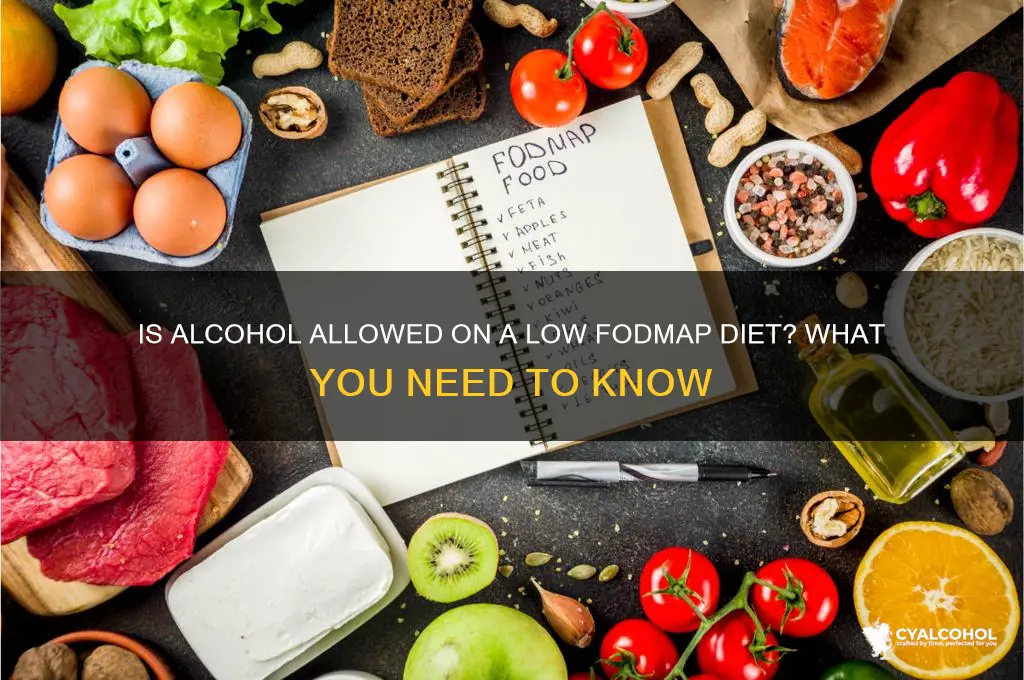 is alcohol ok on low fodmap