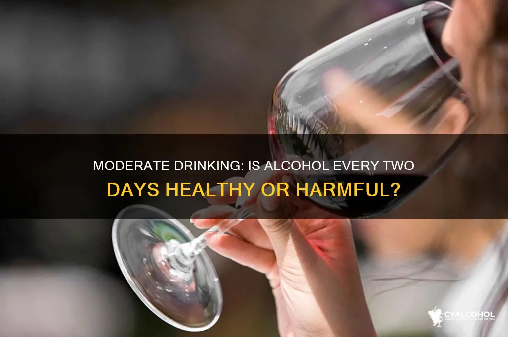 is alcohol okay every two days