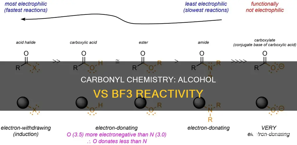 is alcohol or bf3 more reactive with a carbonyl