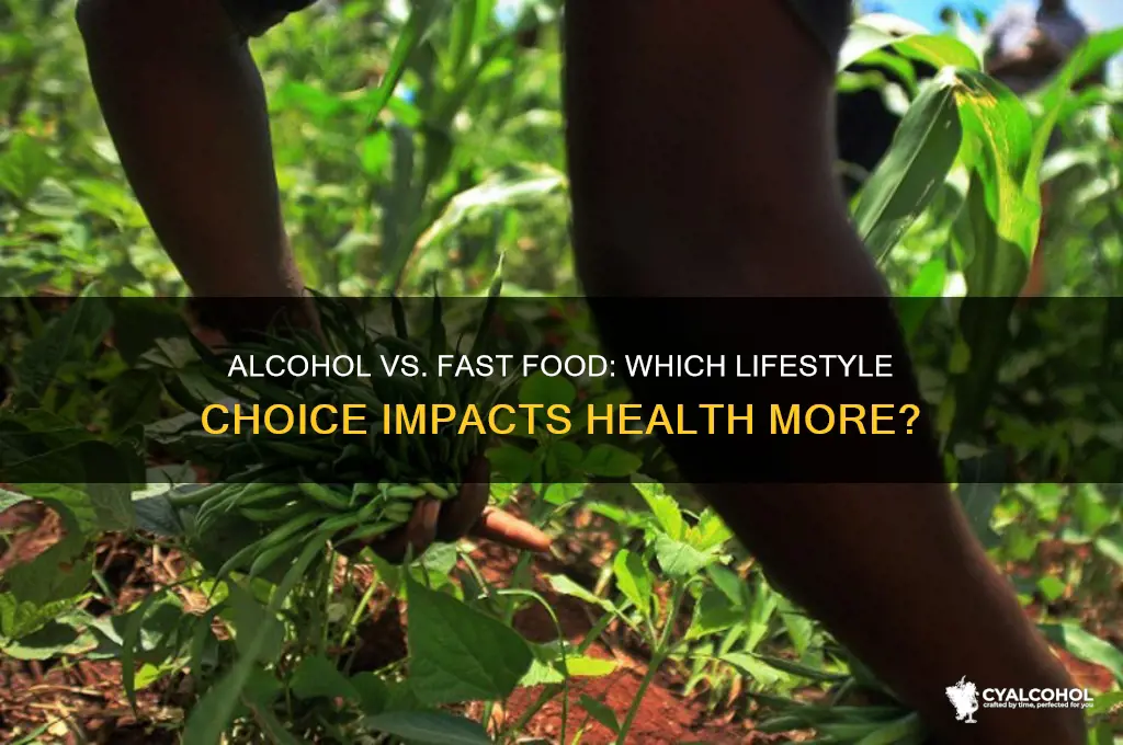 is alcohol or fast food worse