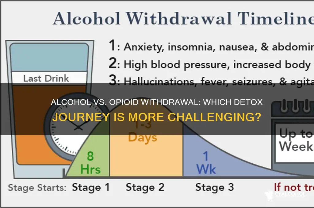 is alcohol or opioid withdrawal worse