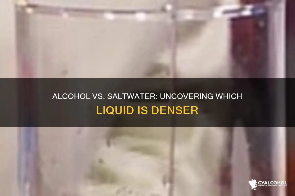 is alcohol or saltwater more dense