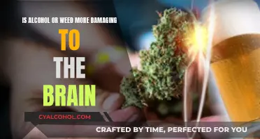 Weed vs Alcohol: Which is Worse for Your Brain?