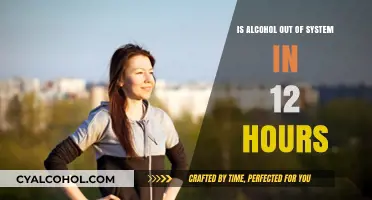 Alcohol Flush: 12-Hour Sobriety After Drinking