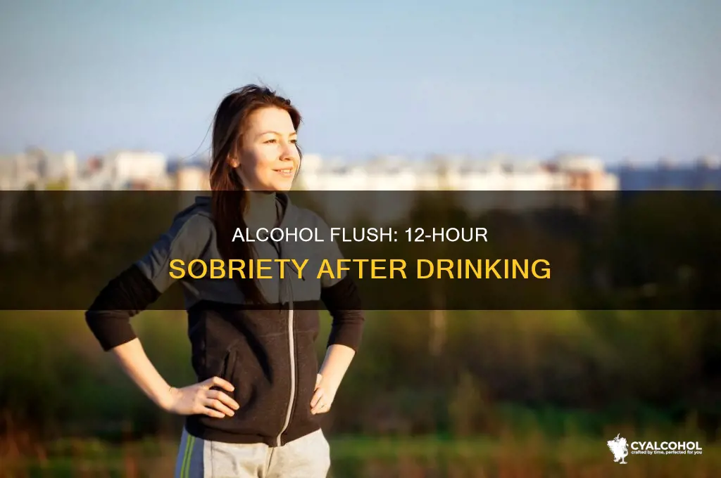 is alcohol out of system in 12 hours