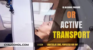 Alcohol Transport in Cells: Passive or Active Mechanism Explained