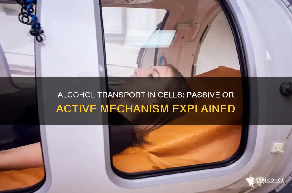 is alcohol passive or active transport