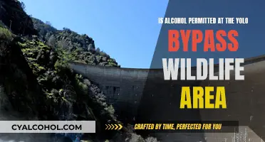Alcohol at Yolo Bypass Wildlife Area: What's Allowed?