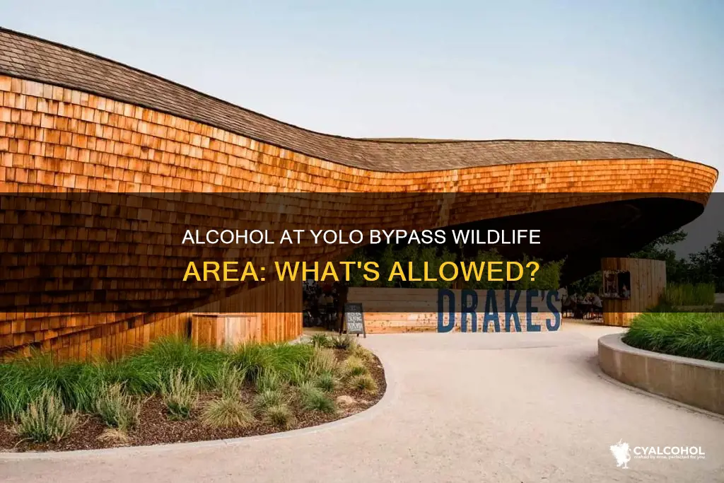 is alcohol permitted at the yolo bypass wildlife area