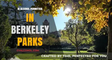 Alcohol in Berkeley Parks: Rules, Regulations, and Permitted Areas Explained