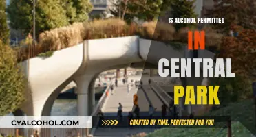 Can You Drink Alcohol in Central Park? Rules and Regulations Explained