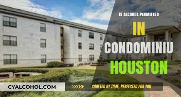 Alcohol in Houston Condos: Rules, Regulations, and Resident Rights Explained