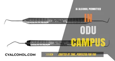 Alcohol Policy at ODU: What’s Allowed on Campus?