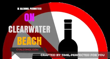 Clearwater Beach Alcohol Policy: What You Need to Know