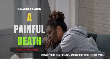 Alcohol Poisoning: Understanding the Painful Reality of a Fatal Overdose