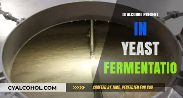 Yeast Fermentation and Alcohol: Understanding the Role of Ethanol Production
