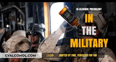 Alcohol in the Military: Prevalence, Impact, and Cultural Norms Explored