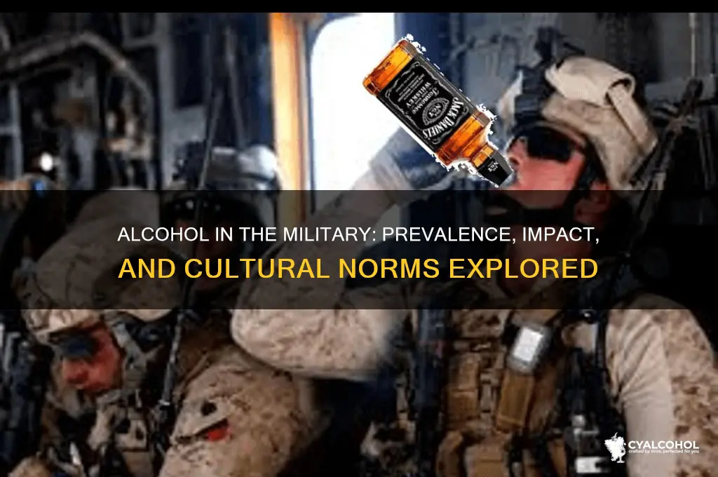 is alcohol prevalent in the military
