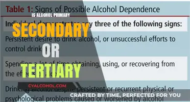 Understanding Alcohol Classification: Primary, Secondary, or Tertiary Explained
