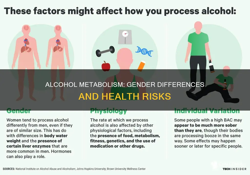 is alcohol processed differently by men and women studies