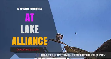 Alcohol Policy at Lake Alliance: What You Need to Know