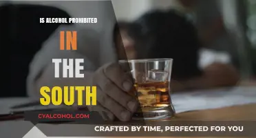 Alcohol Laws in the South: Prohibition or Permissible?