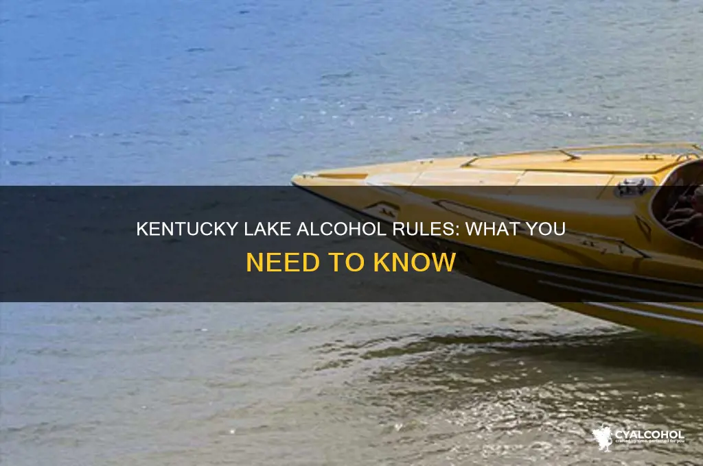 is alcohol prohibited on kentucky lake