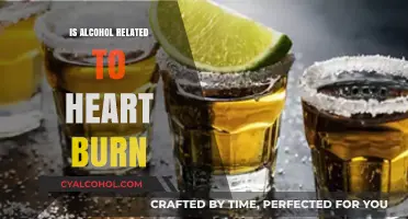 Alcohol and Heartburn: Unraveling the Connection and Its Impact