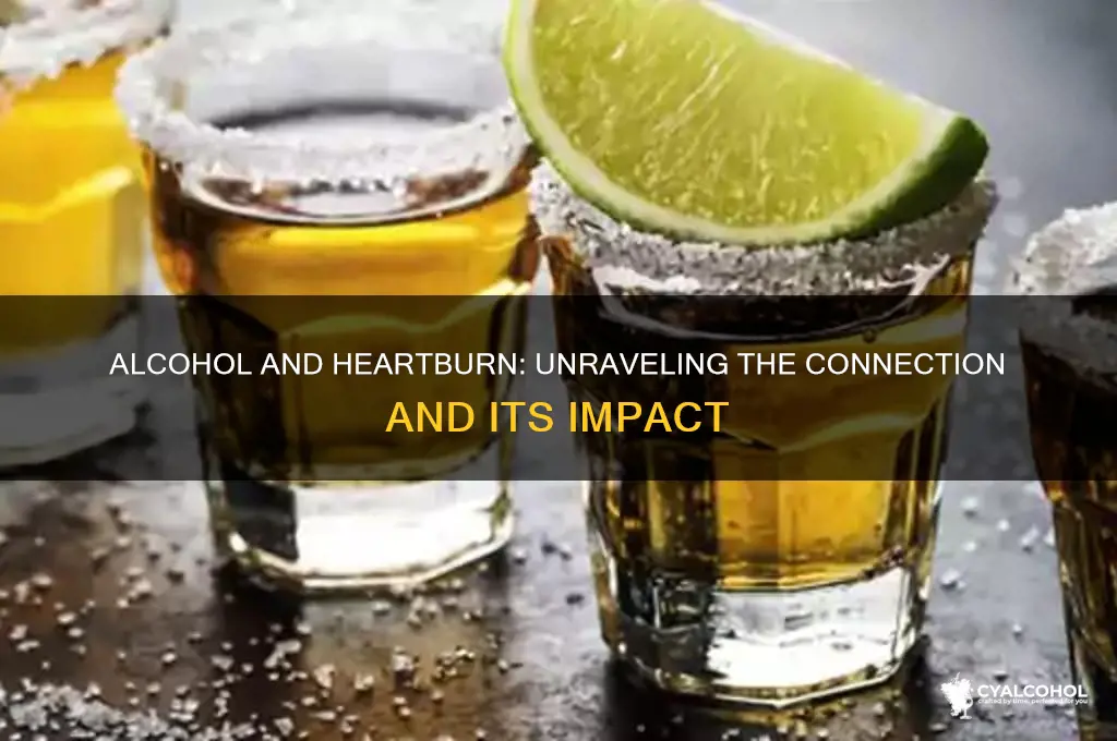 is alcohol related to heart burn