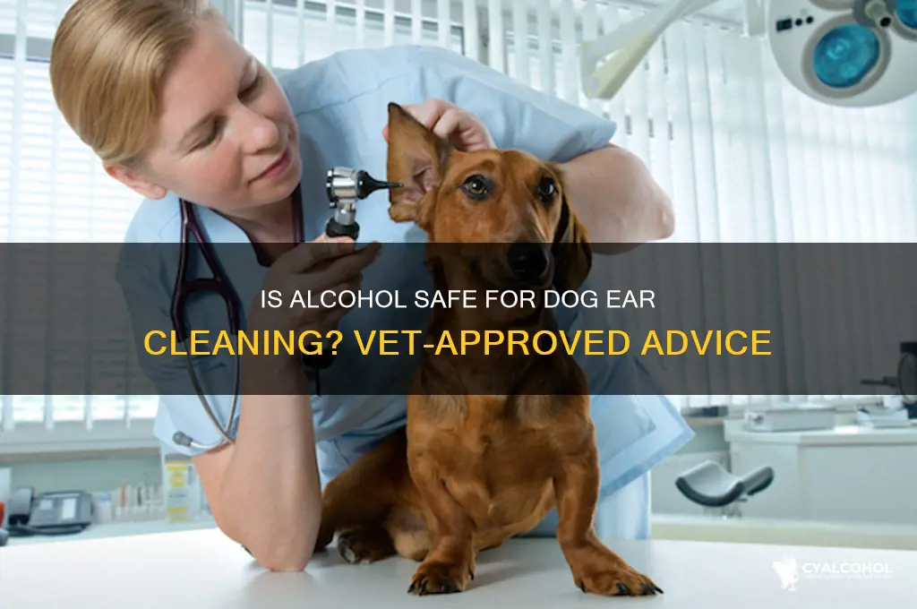 is alcohol safe for dogs ears
