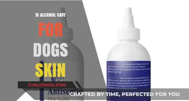 Is Alcohol Safe for Dogs' Skin? Expert Insights and Advice