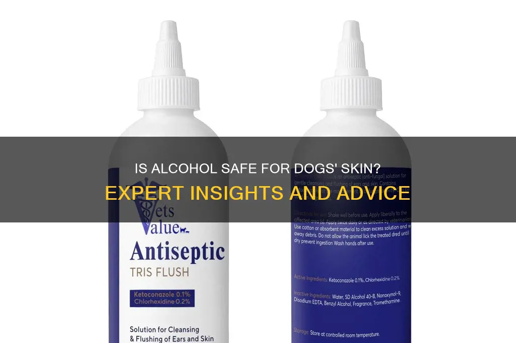 is alcohol safe for dogs skin