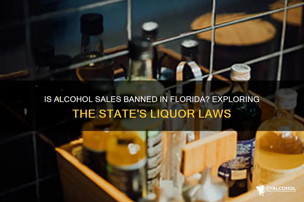 is alcohol sales banned in florida