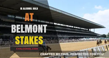 Belmont Stakes Alcohol Policy: What You Need to Know