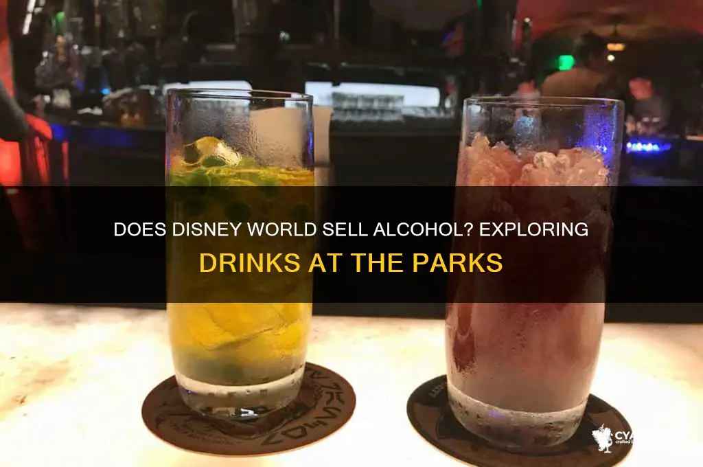 is alcohol sold at disney world