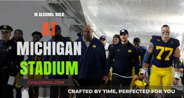Does Michigan Stadium Sell Alcohol? What Fans Need to Know