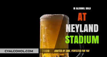 Does Neyland Stadium Sell Alcohol? Exploring Game Day Policies