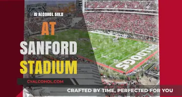 Does Sanford Stadium Sell Alcohol? Exploring UGA's Game Day Policies