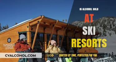 Ski Resort Bars: Alcohol Availability and Après-Ski Culture Explained