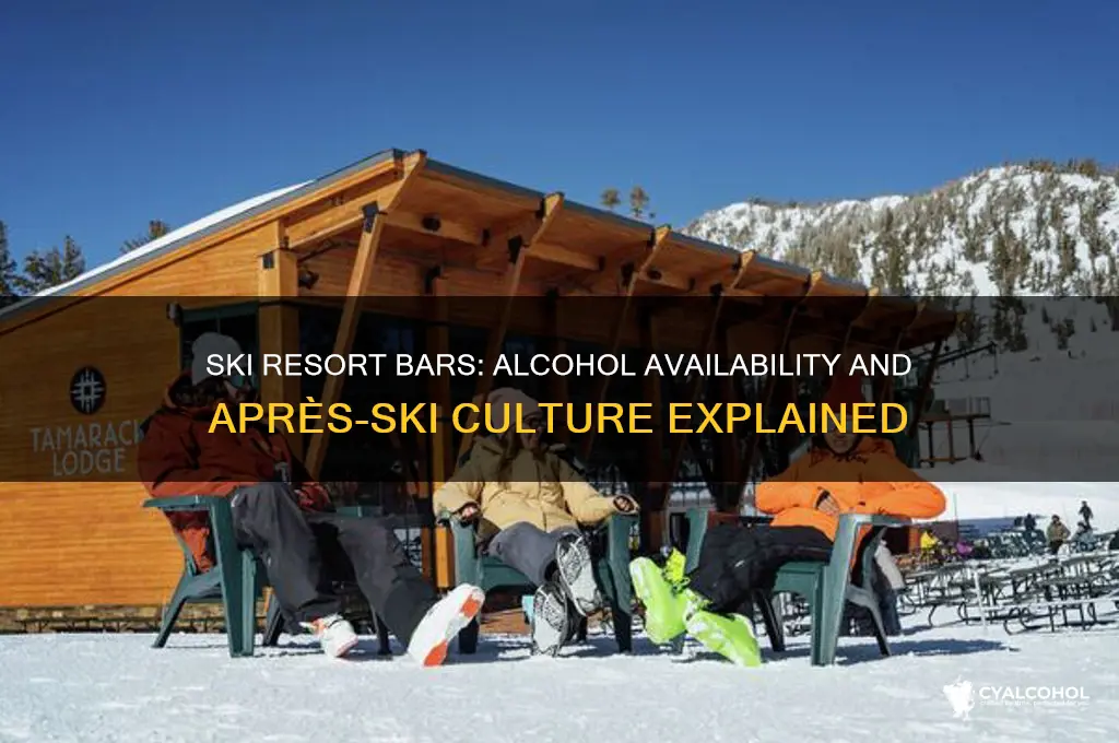 is alcohol sold at ski resorts