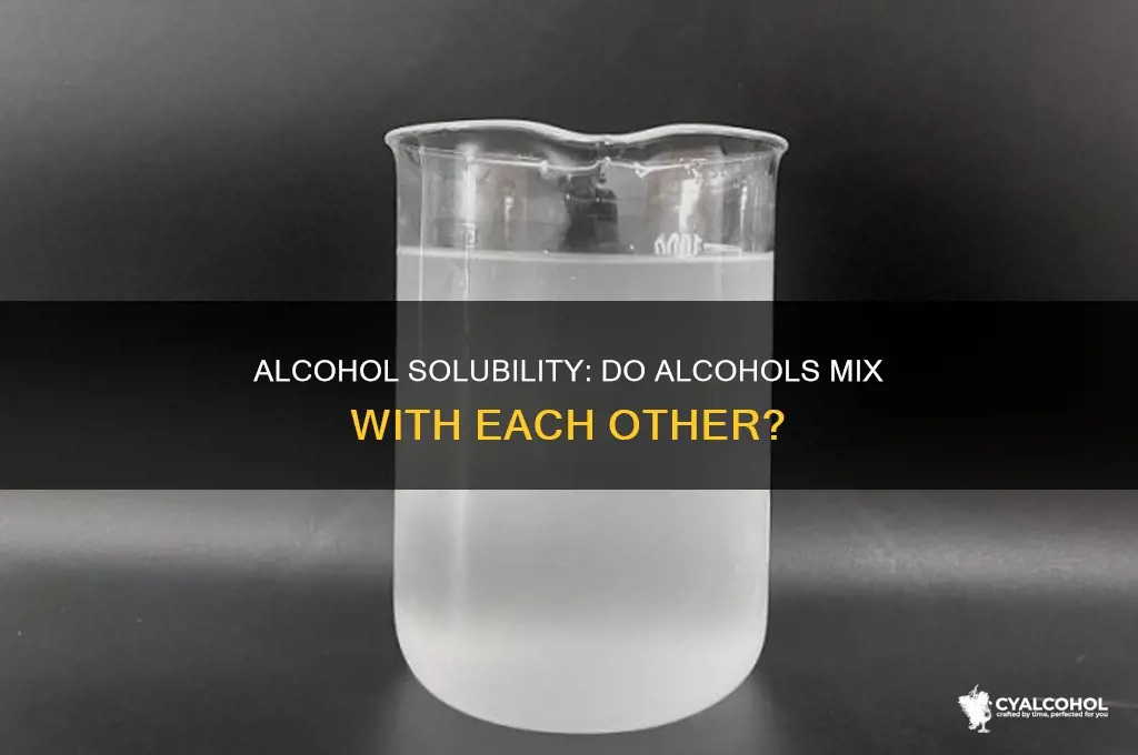 is alcohol soluble in other alcohols