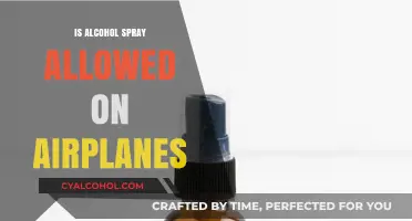Can You Bring Alcohol Spray on Airplanes? TSA Rules Explained