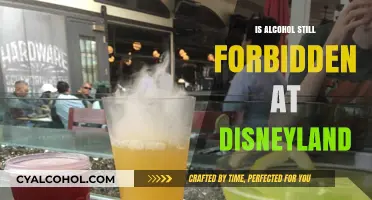 Is Alcohol Still Forbidden at Disneyland? The Truth Revealed
