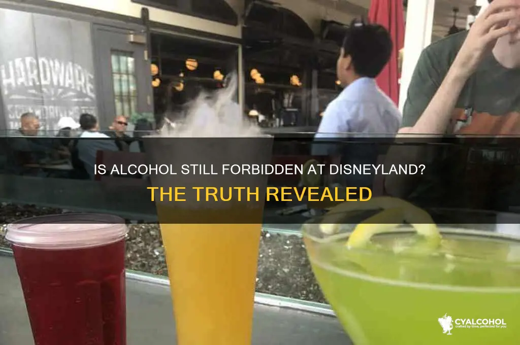 is alcohol still forbidden at disneyland
