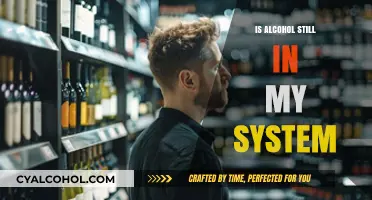 How Long Does Alcohol Stay in Your System? A Complete Guide