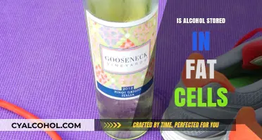 Does Alcohol Accumulate in Fat Cells? Unraveling the Myth and Facts