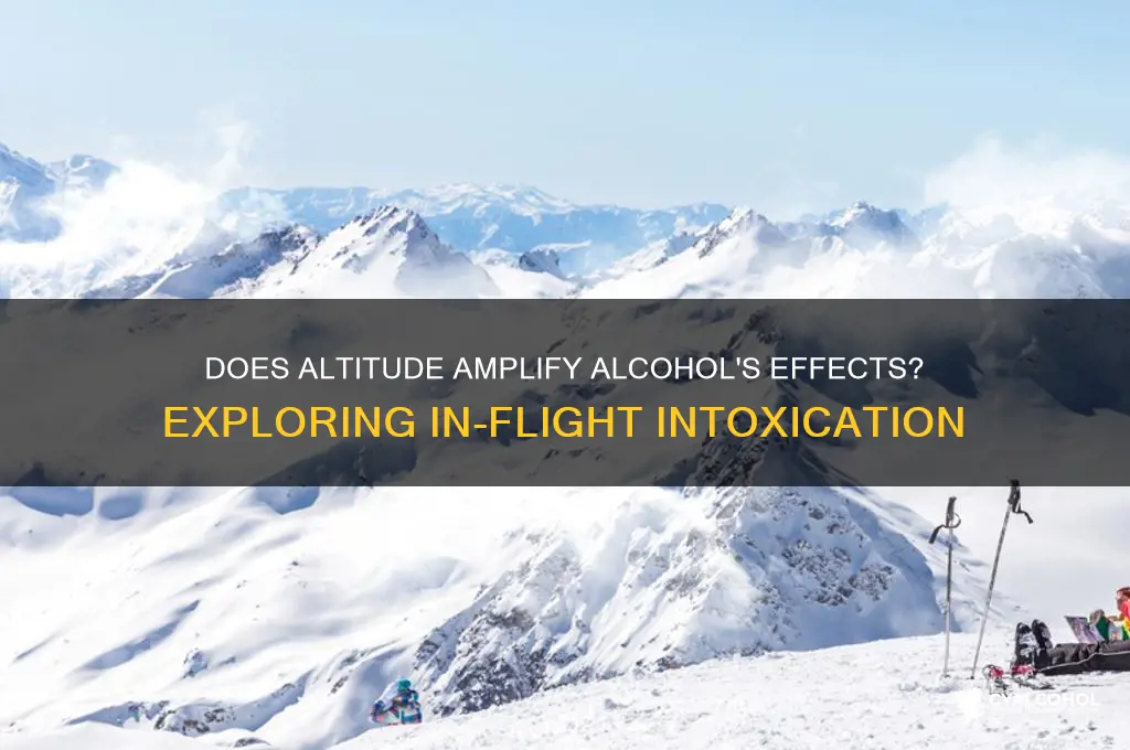 is alcohol stronger on a plane