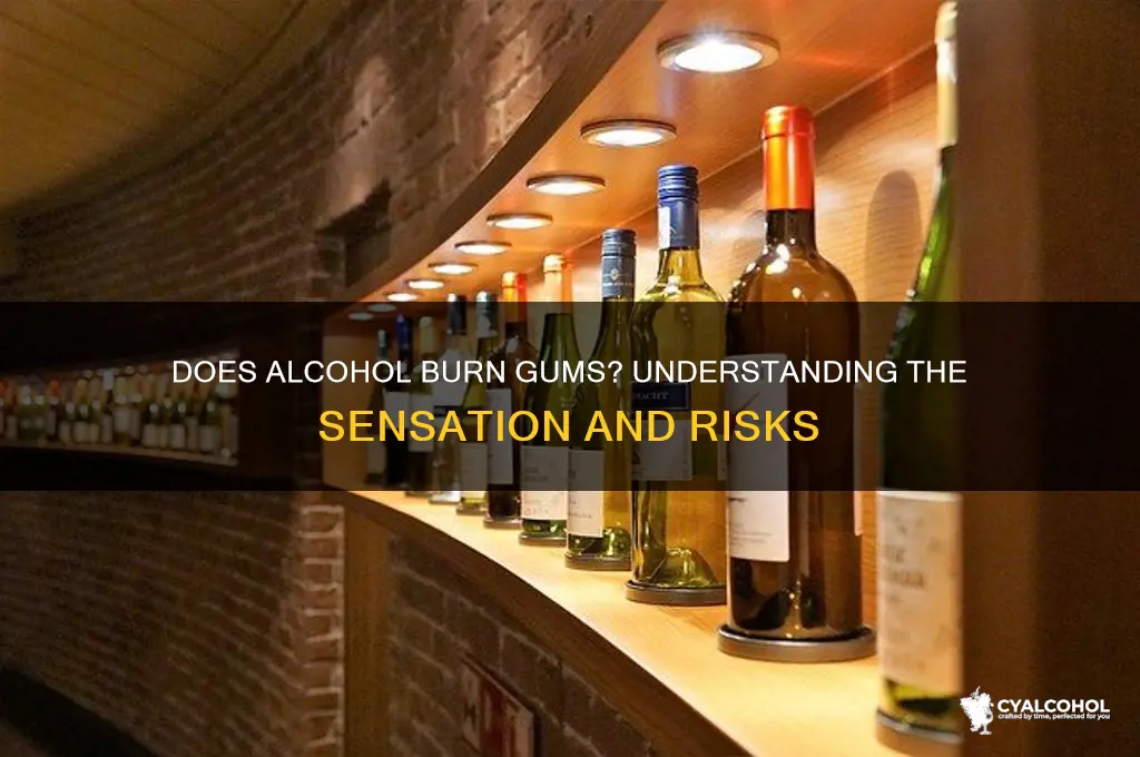 is alcohol supposed to burn gums