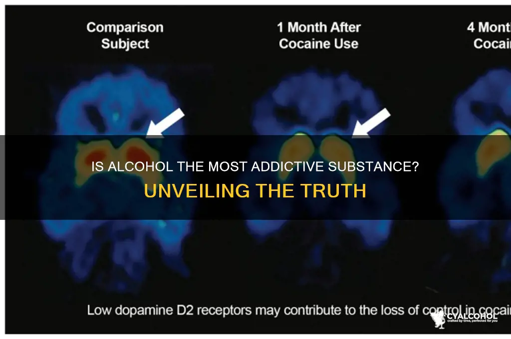 is alcohol the most addictive substance